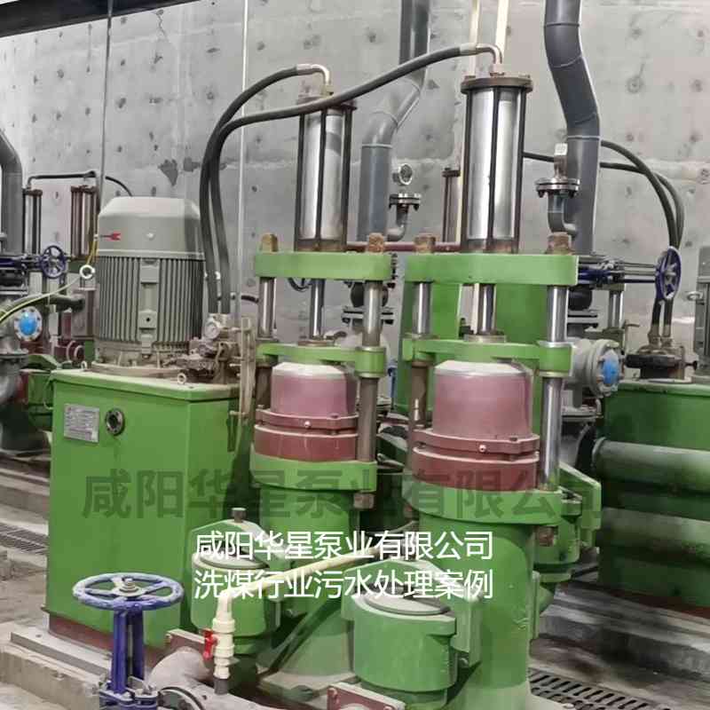 洗煤廠使用華星YBH300壓濾機專用入料泵